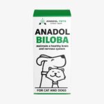 BILOBA-1