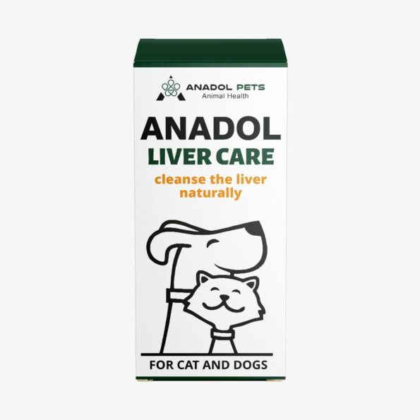 LIVER-CARE-2