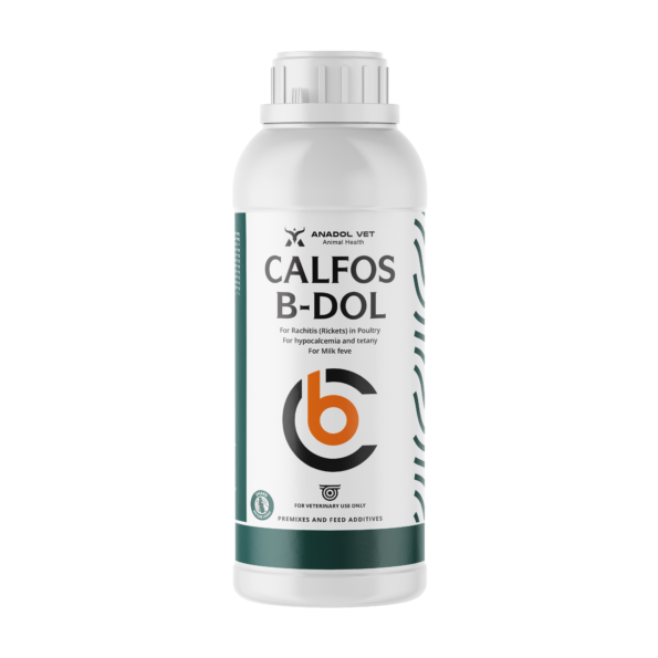 CALFOS-B-DOL-1L-EN