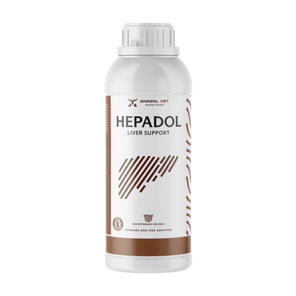 HEPADOL-1L-EN