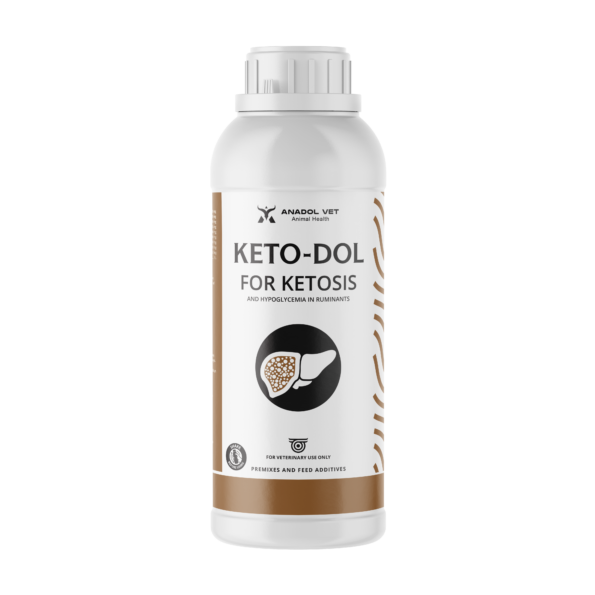 KETO-DOL-PLUS-1L-EN